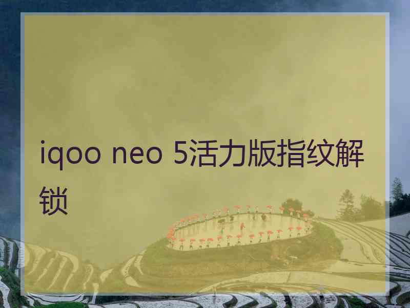 iqoo neo 5活力版指纹解锁