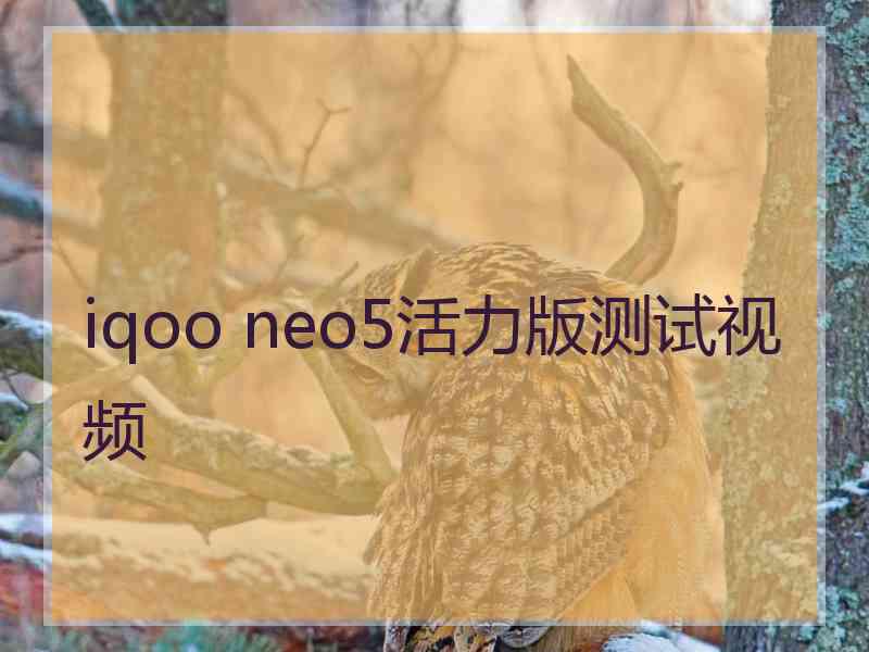 iqoo neo5活力版测试视频