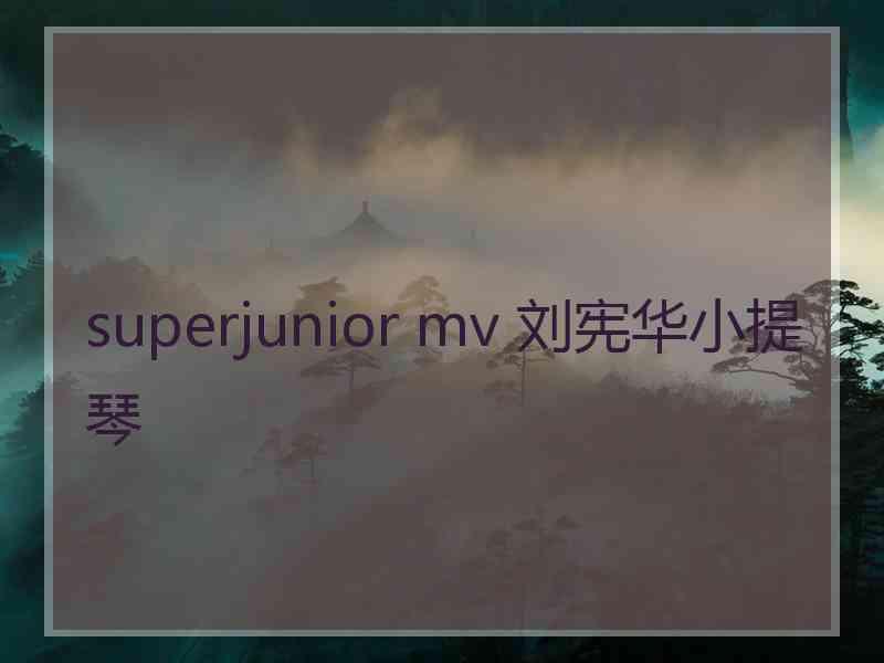 superjunior mv 刘宪华小提琴