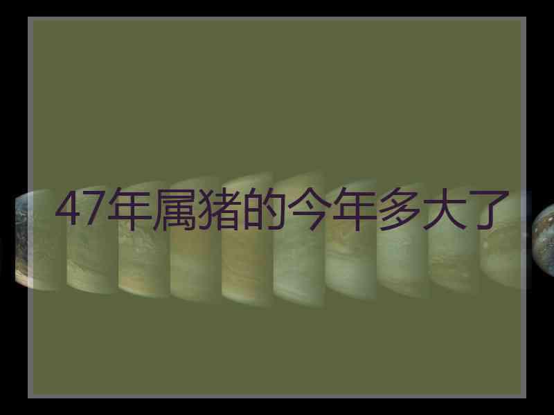 47年属猪的今年多大了