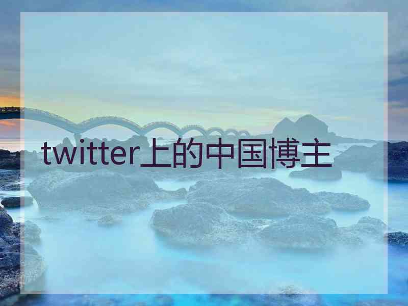 twitter上的中国博主