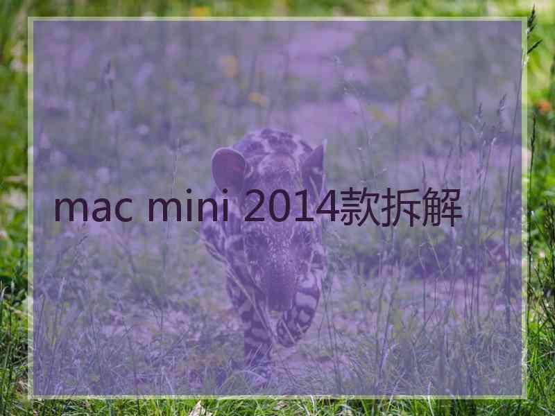 mac mini 2014款拆解