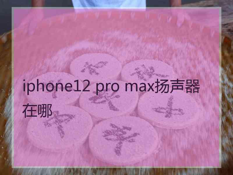 iphone12 pro max扬声器在哪