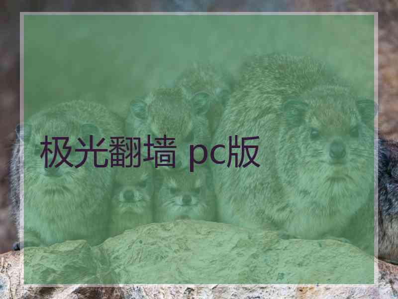 极光翻墙 pc版