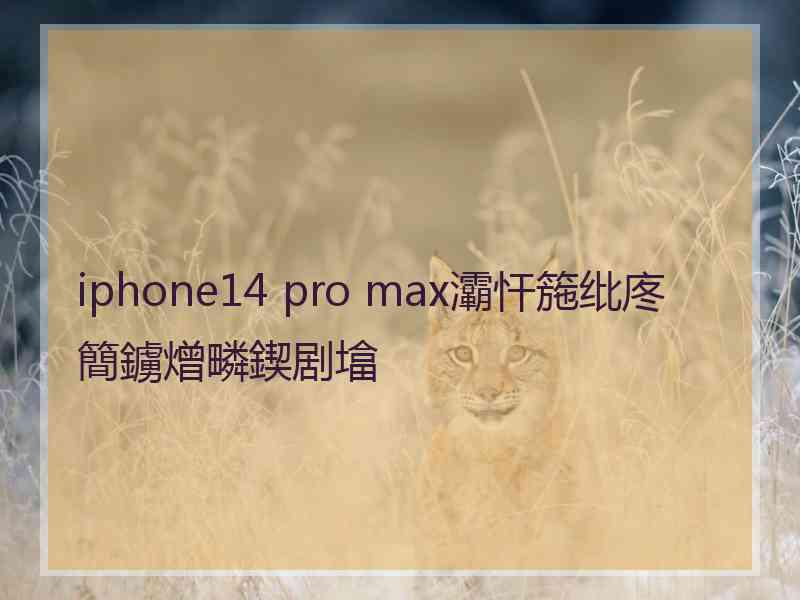 iphone14 pro max灞忓箷纰庝簡鐪熷疄鍥剧墖