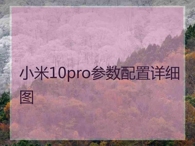 小米10pro参数配置详细图