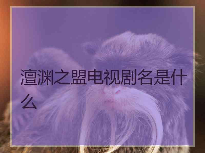 澶渊之盟电视剧名是什么