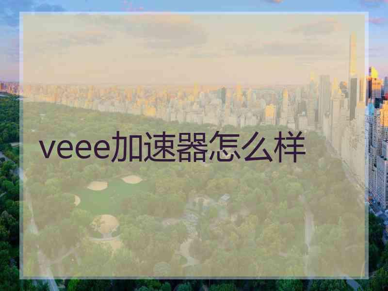 veee加速器怎么样