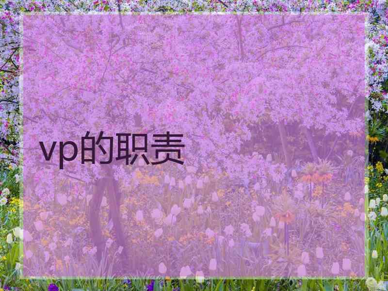 vp的职责