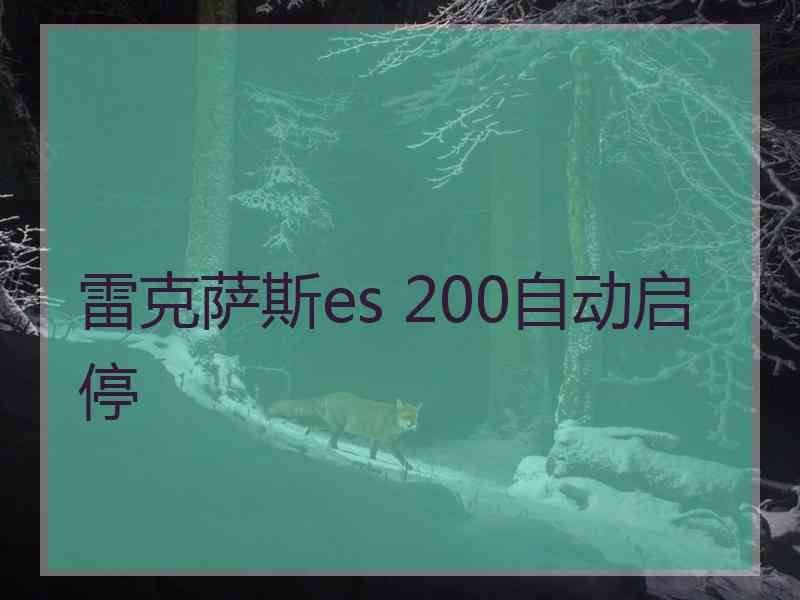 雷克萨斯es 200自动启停