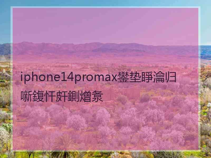 iphone14promax鐢垫睜瀹归噺鍑忓皯鍘熷洜