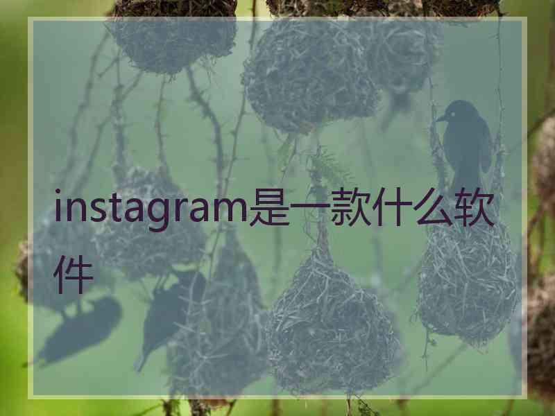 instagram是一款什么软件