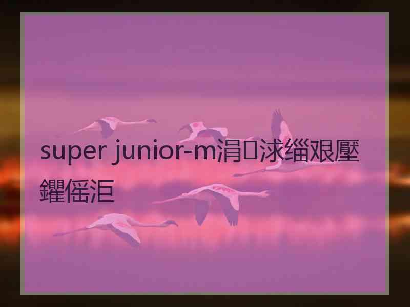 super junior-m涓浗缁艰壓鑺傜洰