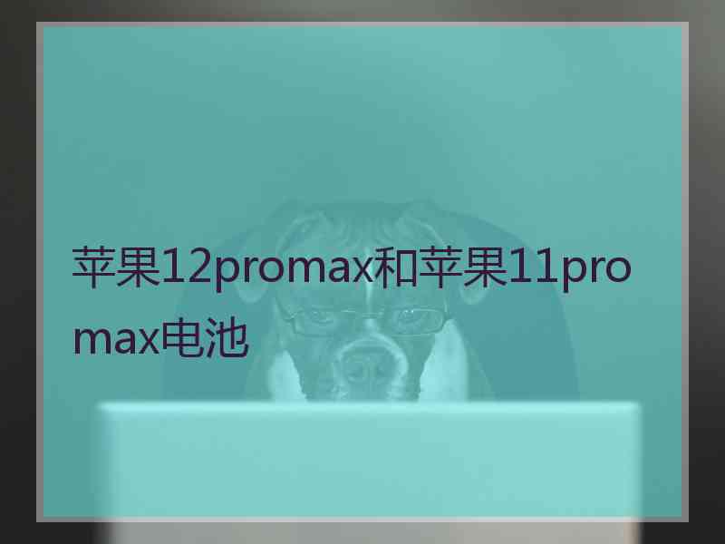 苹果12promax和苹果11promax电池