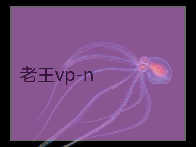 老王vp-n