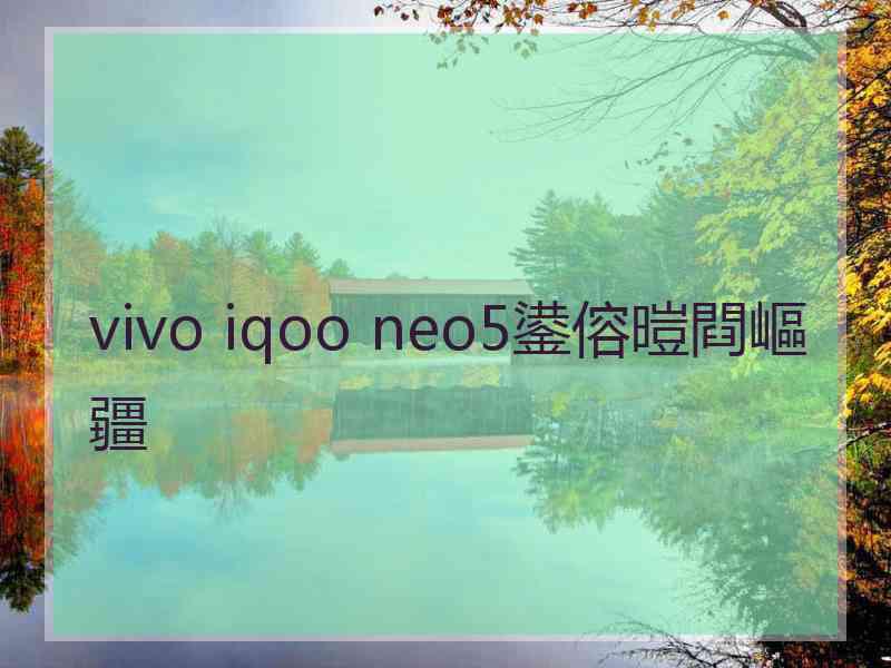 vivo iqoo neo5鍙傛暟閰嶇疆