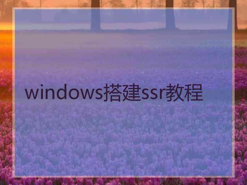 windows搭建ssr教程