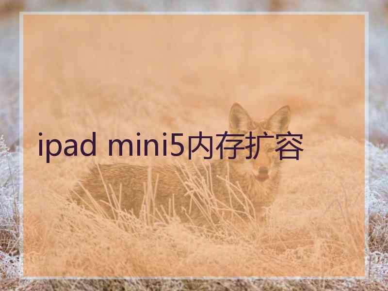 ipad mini5内存扩容