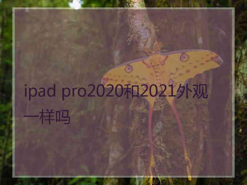 ipad pro2020和2021外观一样吗