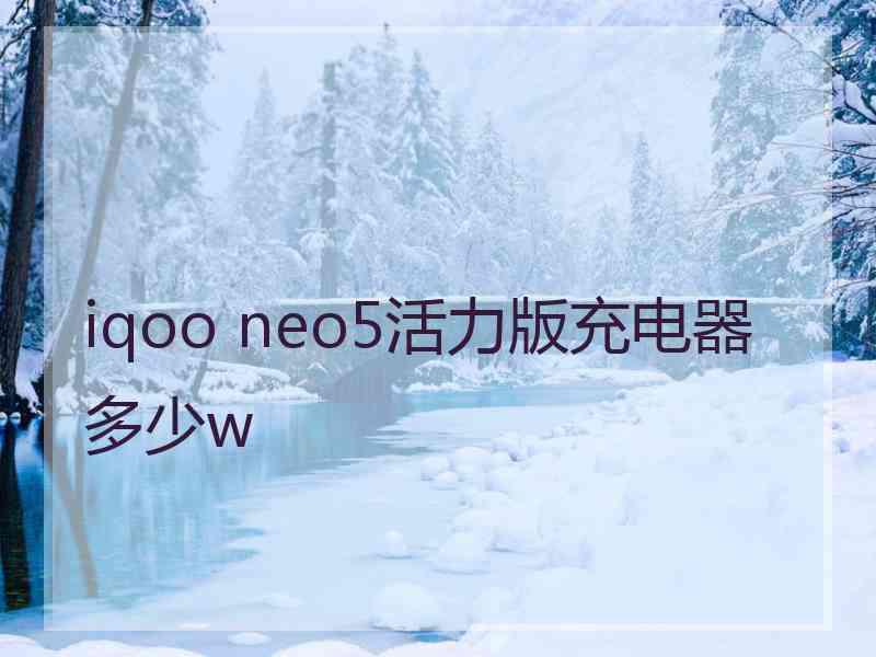 iqoo neo5活力版充电器多少w