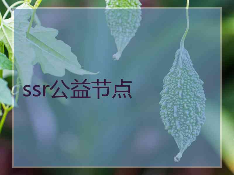 ssr公益节点