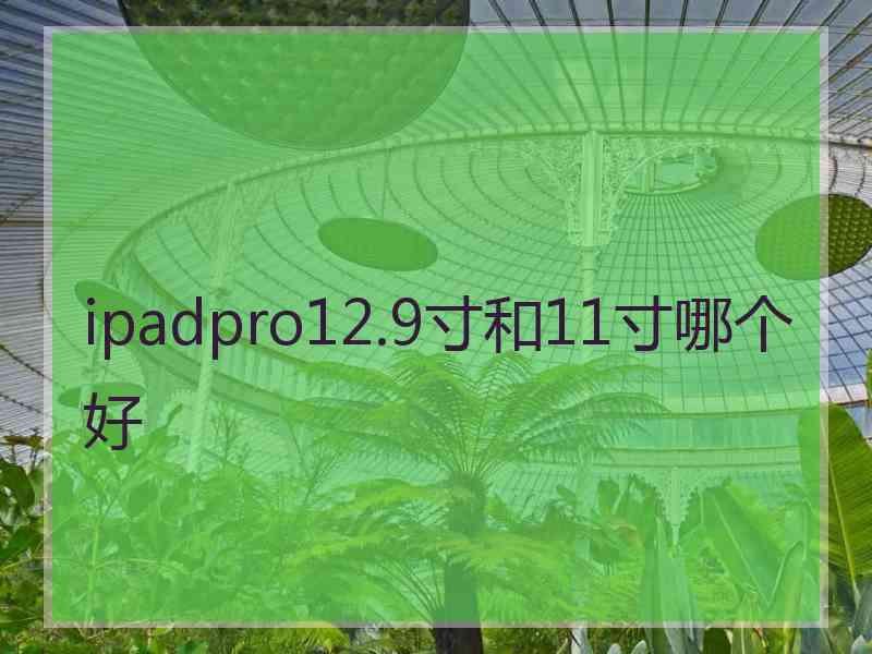 ipadpro12.9寸和11寸哪个好