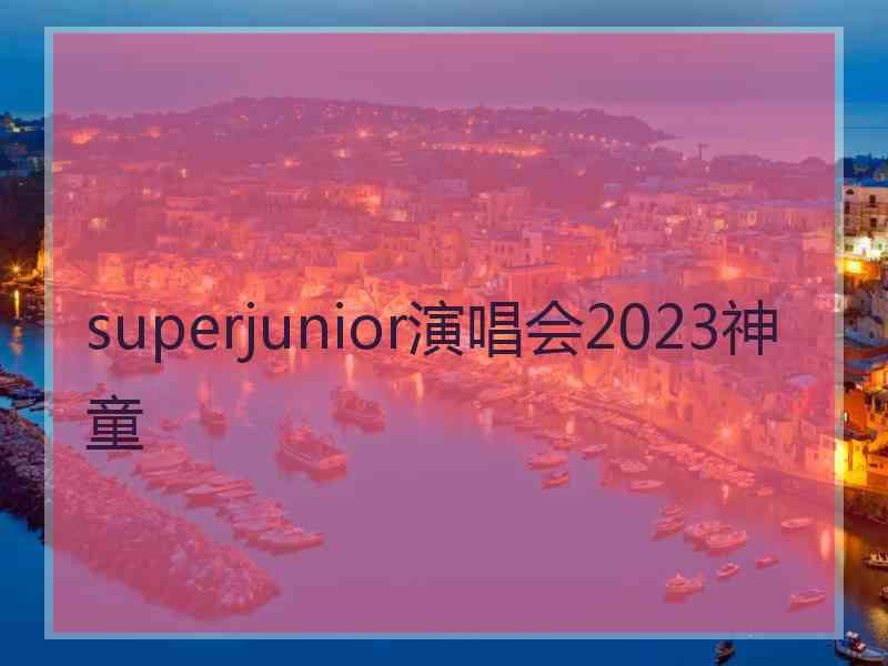 superjunior演唱会2023神童