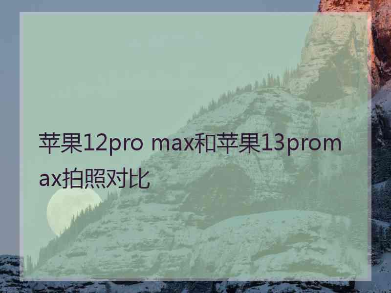 苹果12pro max和苹果13promax拍照对比