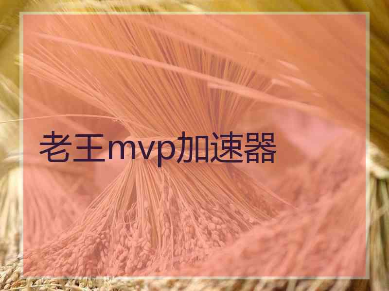 老王mvp加速器