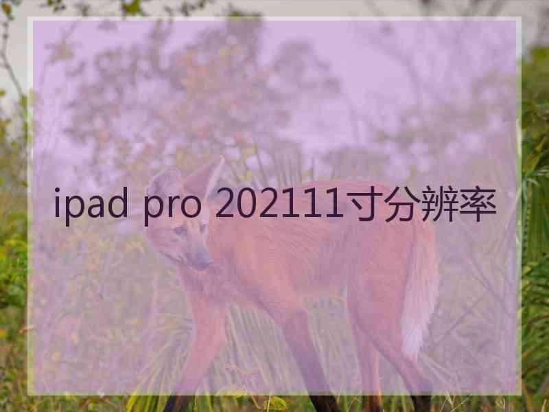 ipad pro 202111寸分辨率