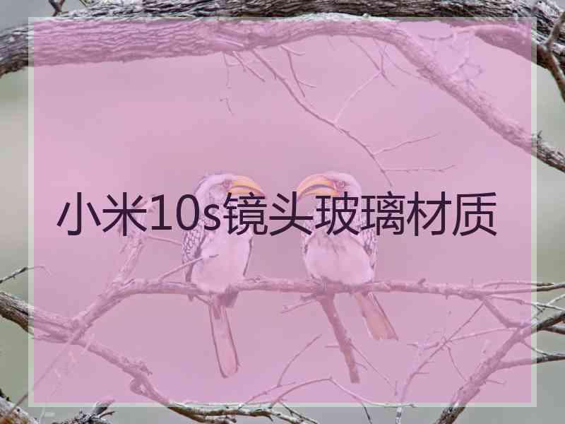 小米10s镜头玻璃材质