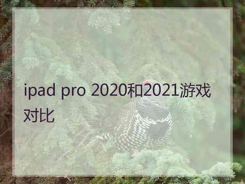 ipad pro 2020和2021游戏对比