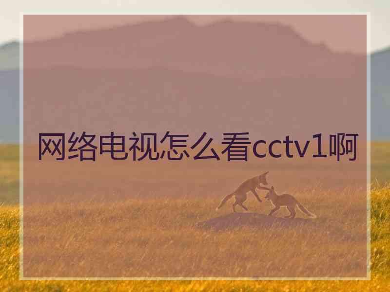 网络电视怎么看cctv1啊