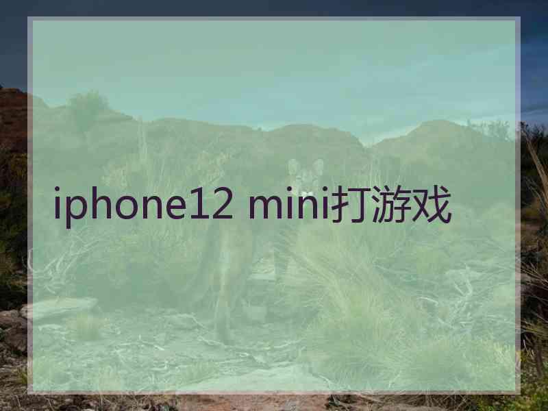 iphone12 mini打游戏