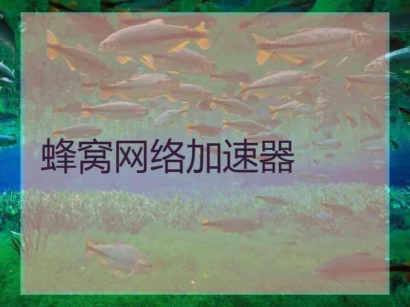 蜂窝网络加速器