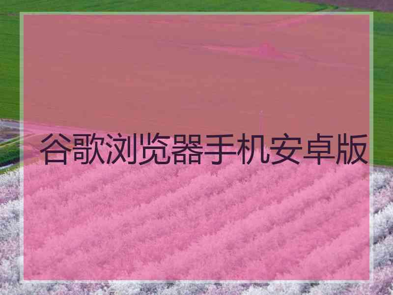 谷歌浏览器手机安卓版