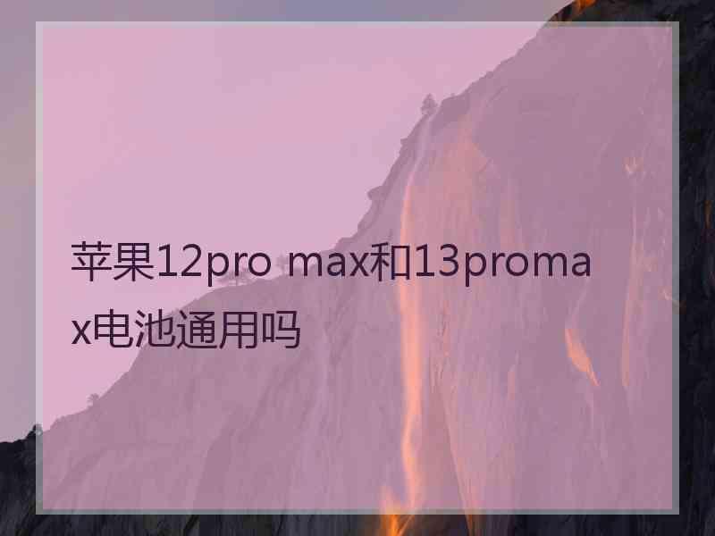 苹果12pro max和13promax电池通用吗