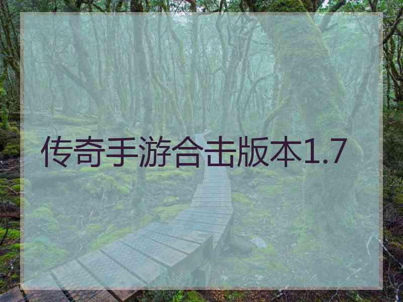 传奇手游合击版本1.7