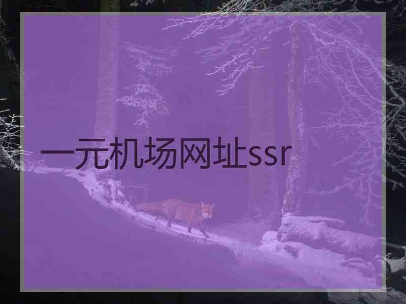 一元机场网址ssr