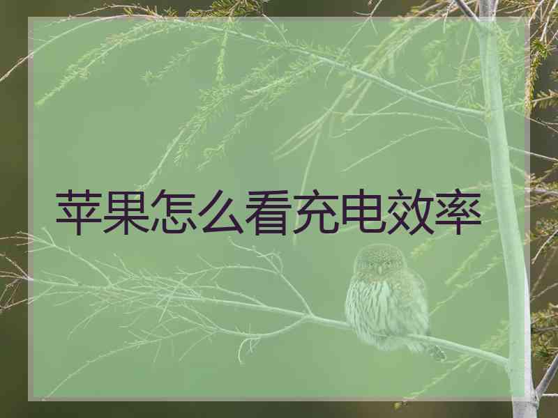 苹果怎么看充电效率