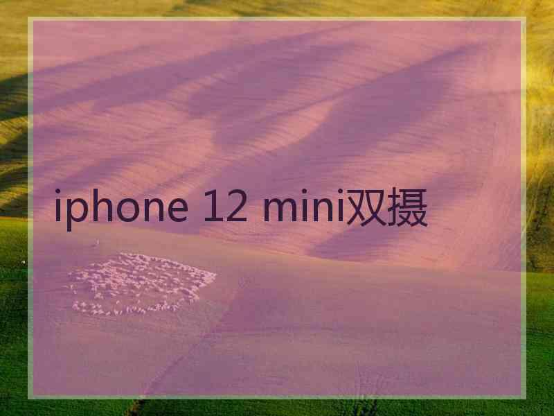 iphone 12 mini双摄