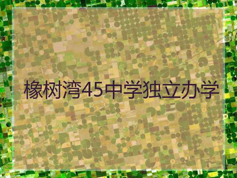 橡树湾45中学独立办学