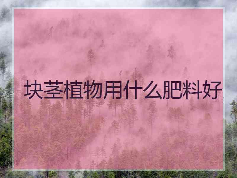 块茎植物用什么肥料好