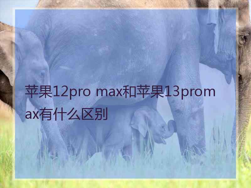 苹果12pro max和苹果13promax有什么区别