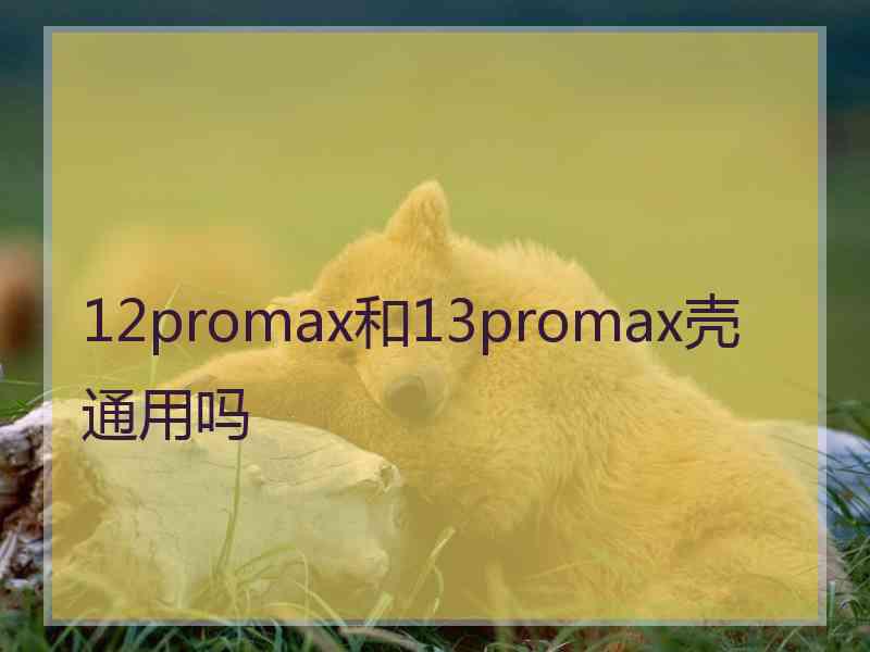 12promax和13promax壳通用吗