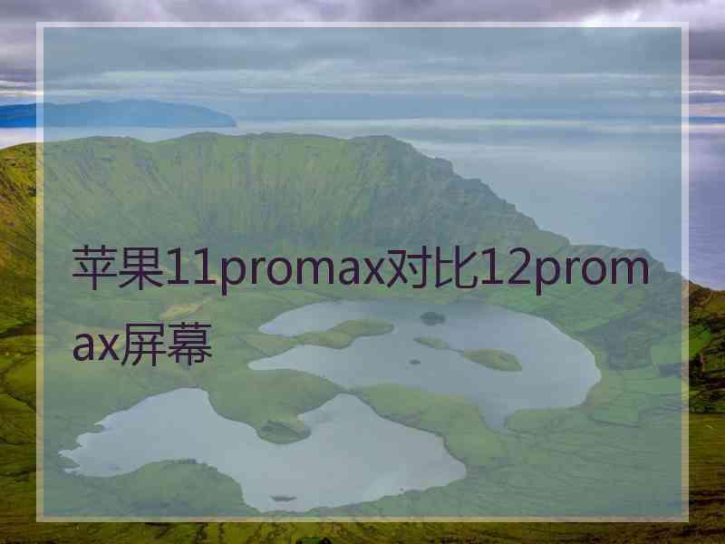 苹果11promax对比12promax屏幕