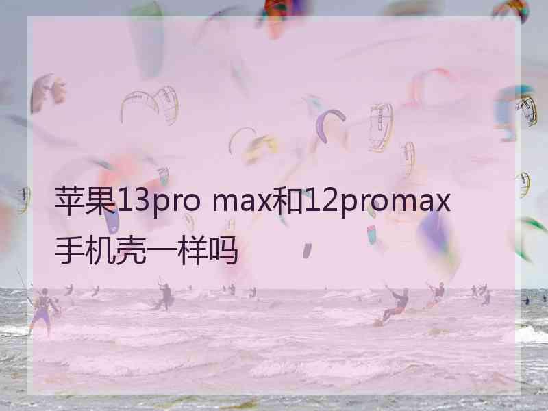 苹果13pro max和12promax手机壳一样吗