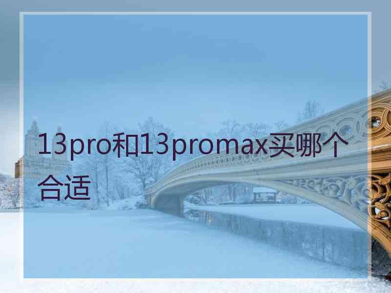 13pro和13promax买哪个合适