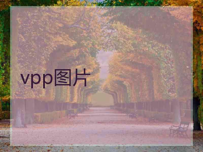 vpp图片