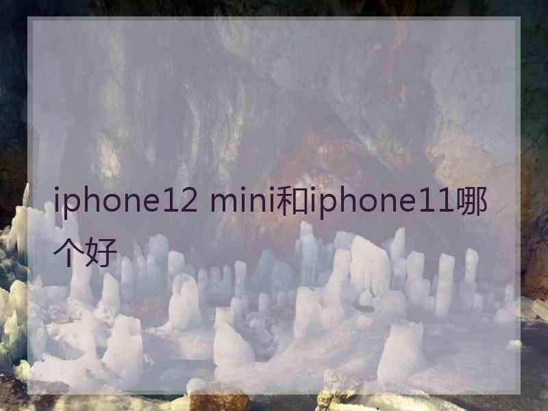 iphone12 mini和iphone11哪个好